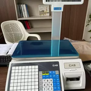 Корневая категория Корневая категория